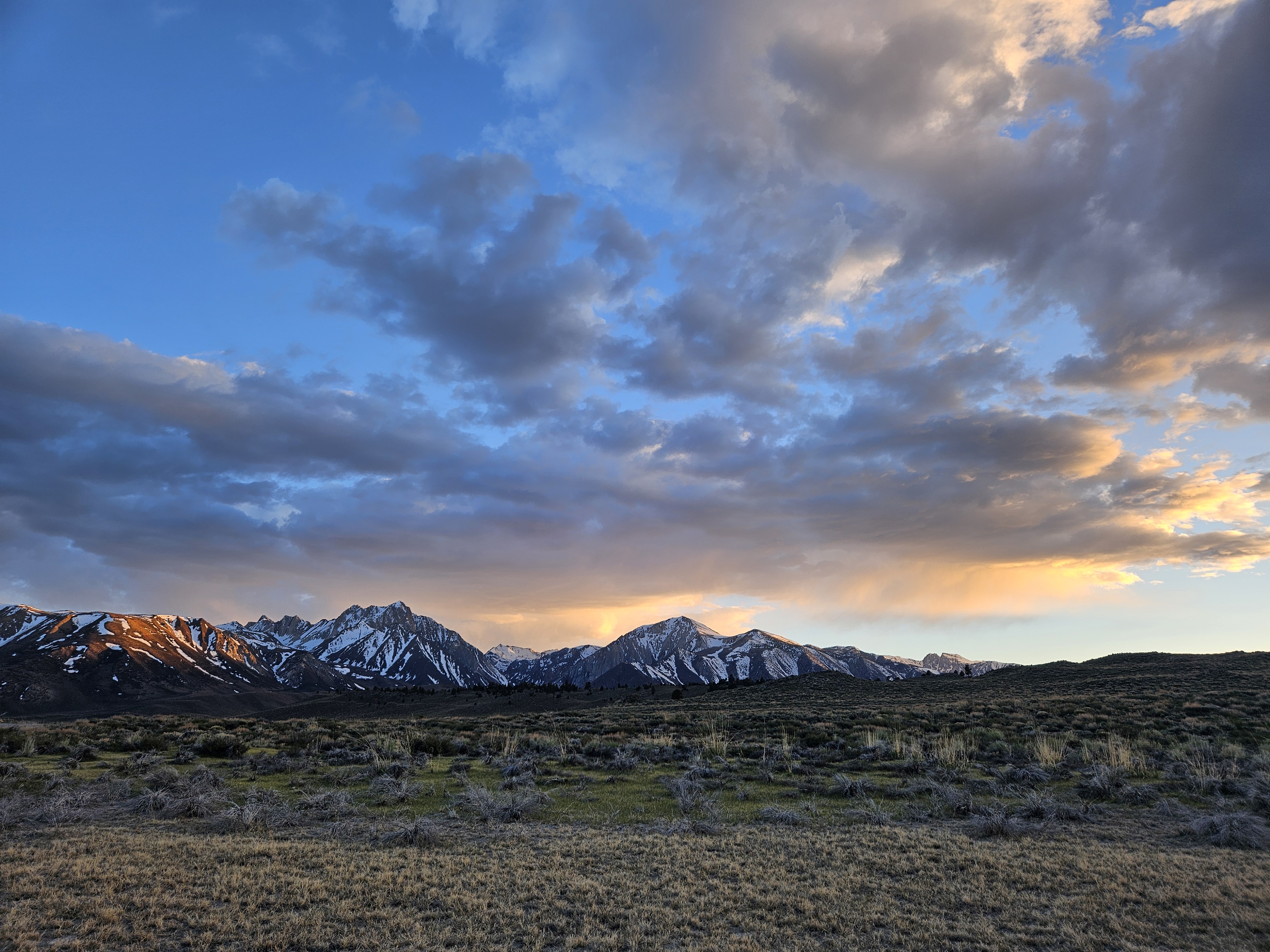 Sierra Spring - Mammoth Valley, California