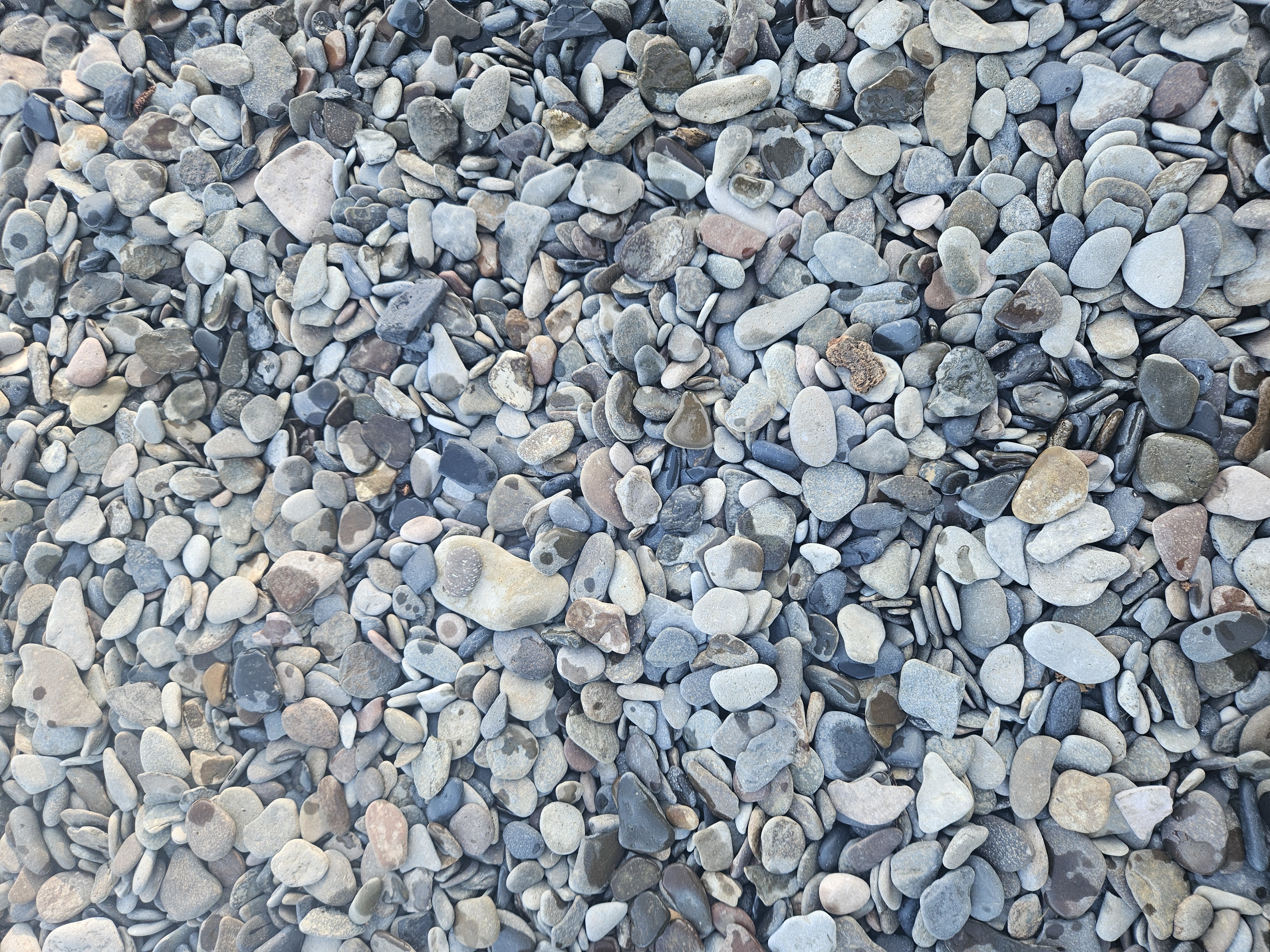 High Entropy - Carnelian Bay, California